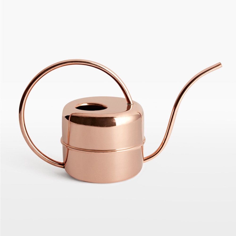 Rejuvenation | Copper Watering Can